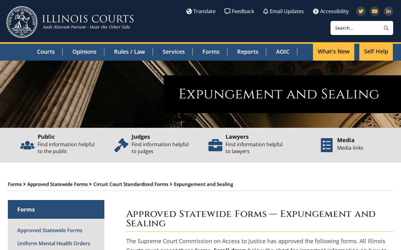 Pope County criminal court case expungement and sealing forms